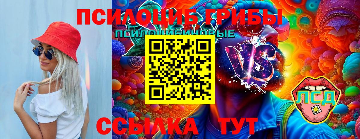Галлюциногенные грибы GOLDEN TEACHER Лесосибирск