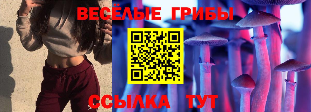 Метадон Лесосибирск